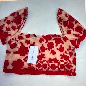 NWT Lovers + Friends Red Embroidered Crop Top